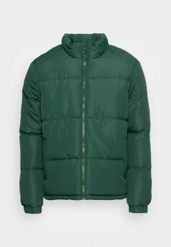 Brave Soul DAVISGREEN - Winter Jacket - Jade Green